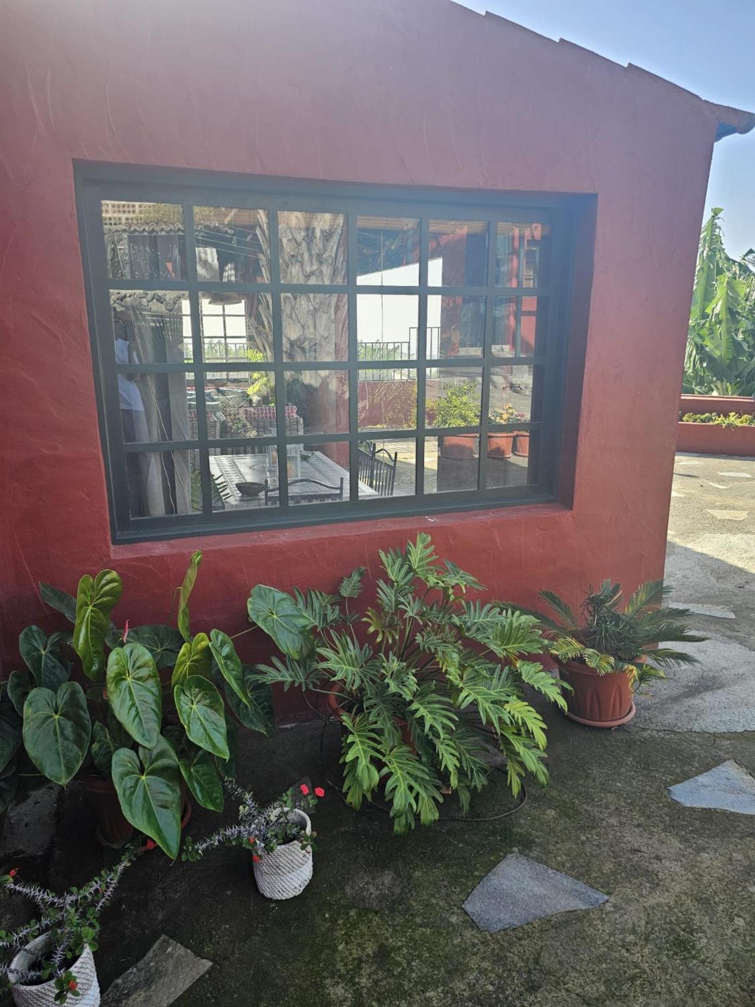 Casa Rural El Pinito Con Piscina Privada Ел Пасо Екстериор снимка