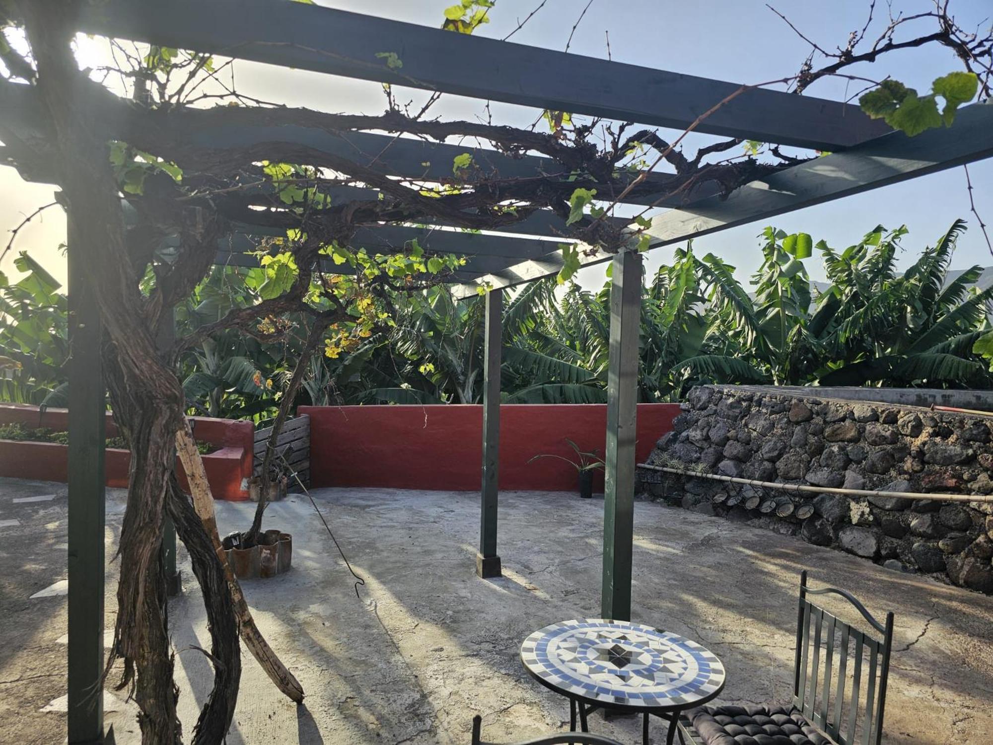 Casa Rural El Pinito Con Piscina Privada Ел Пасо Екстериор снимка